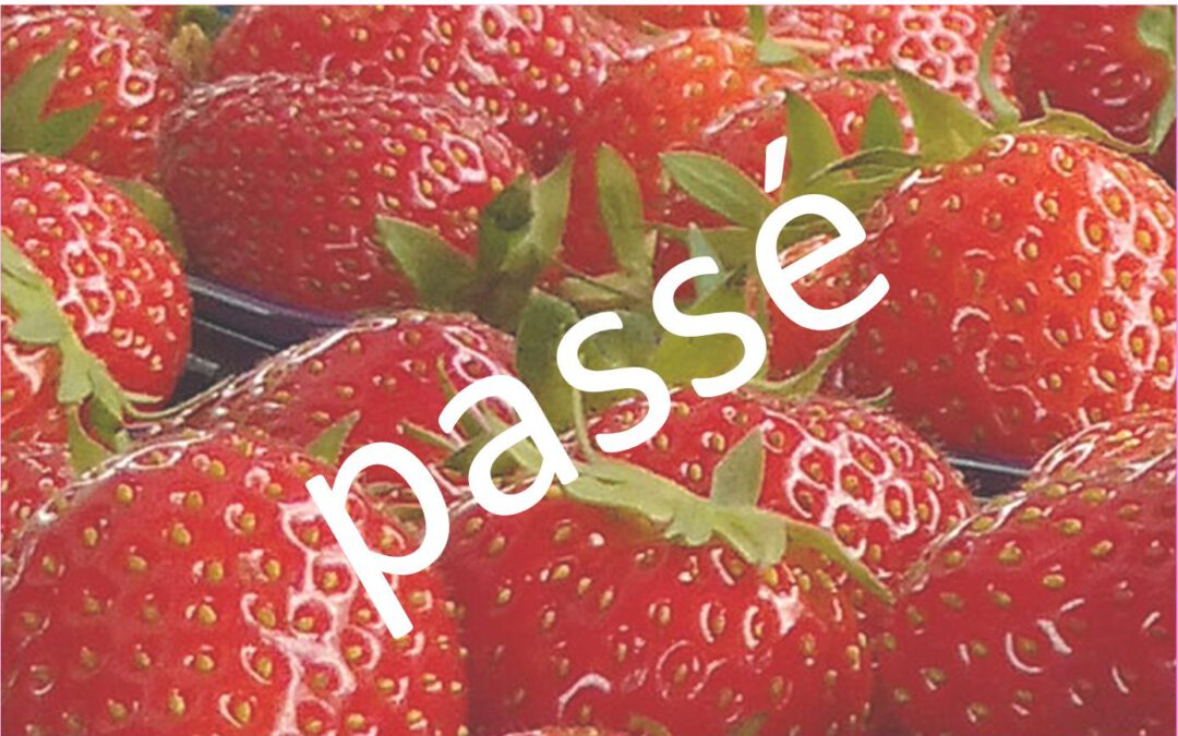 Erdbeerfest im Freilichtmuseum Rieck Haus am 21. & 22. Juni 2025