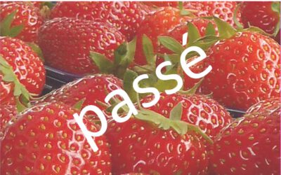 Erdbeerfest im Freilichtmuseum Rieck Haus am 21. & 22. Juni 2025